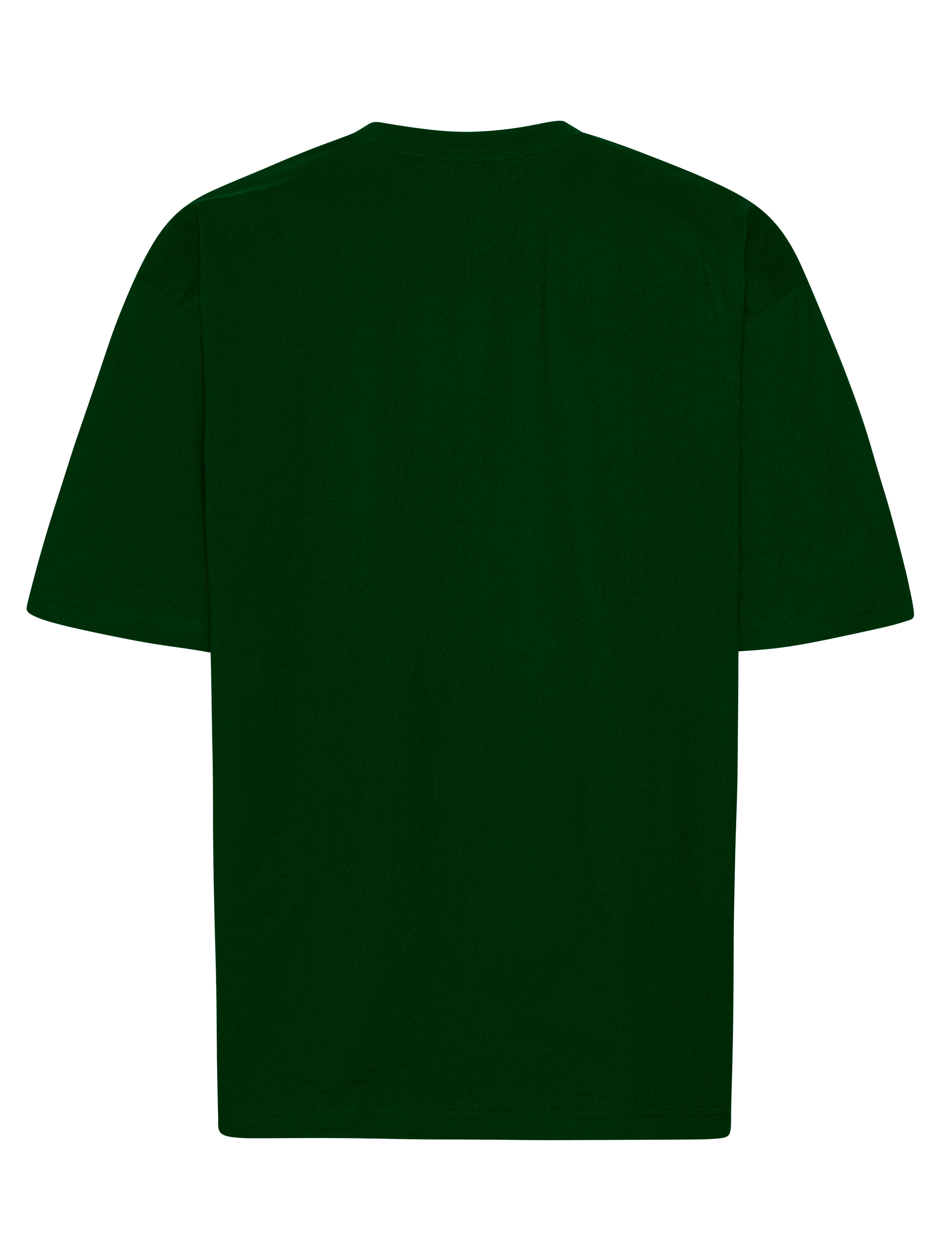 Tiger Cotton Oversized t-paita, luomupuuvilla, 220g – Packshot takaa